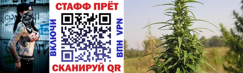 Купить закладку АМФЕТАМИН  Alpha-PVP  МЕФ  Бошки Шишки  COCAIN  ГАШ  Дмитров