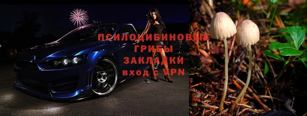 индика Зерноград