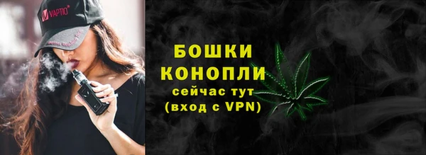 индика Зерноград