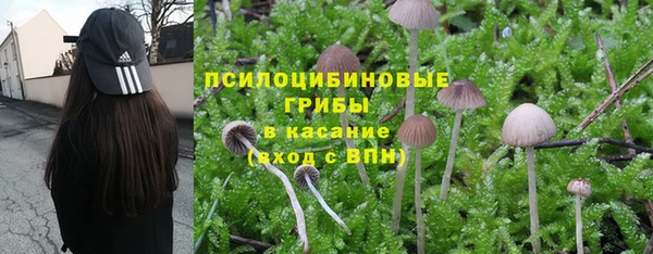2c-b Заводоуковск