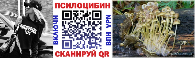 Псилоцибиновые грибы MAGIC MUSHROOMS  Купить где  Дмитров 